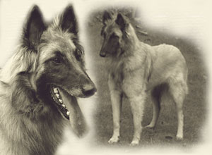 MavieThemenbild-_Home