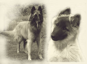 MavieThemenbild-_Time_goes